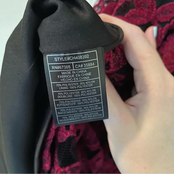 HP ❤️ Cupcakes and Cashmere Lace Dress - Picture 7 of 9